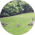 Sally Rigney Avatar