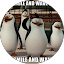 Warren Nelson Avatar
